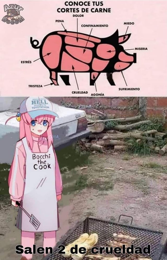 CONOCE TUS CORTES DE CARNE DOLOR PENA CONFINAMIENTO MIEDO ESTRÉS TRISTEZA CRUELDAD AGONÍA SUFRIMIENTO MISERIA Salen 2 de crueldad