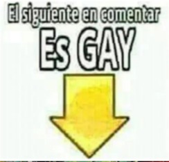 El siguiente en comentar Es GAY