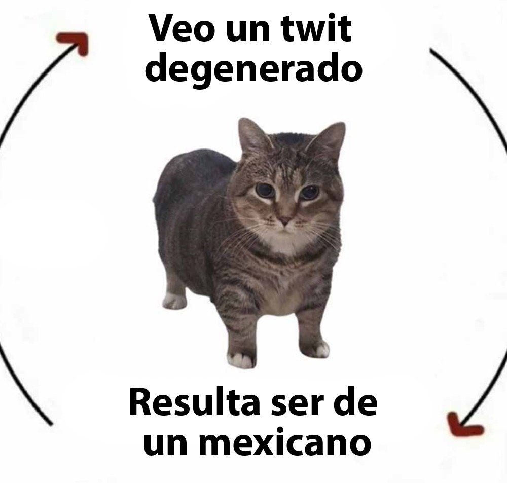 Veo un twit degenerado
Resulta ser de un mexicano