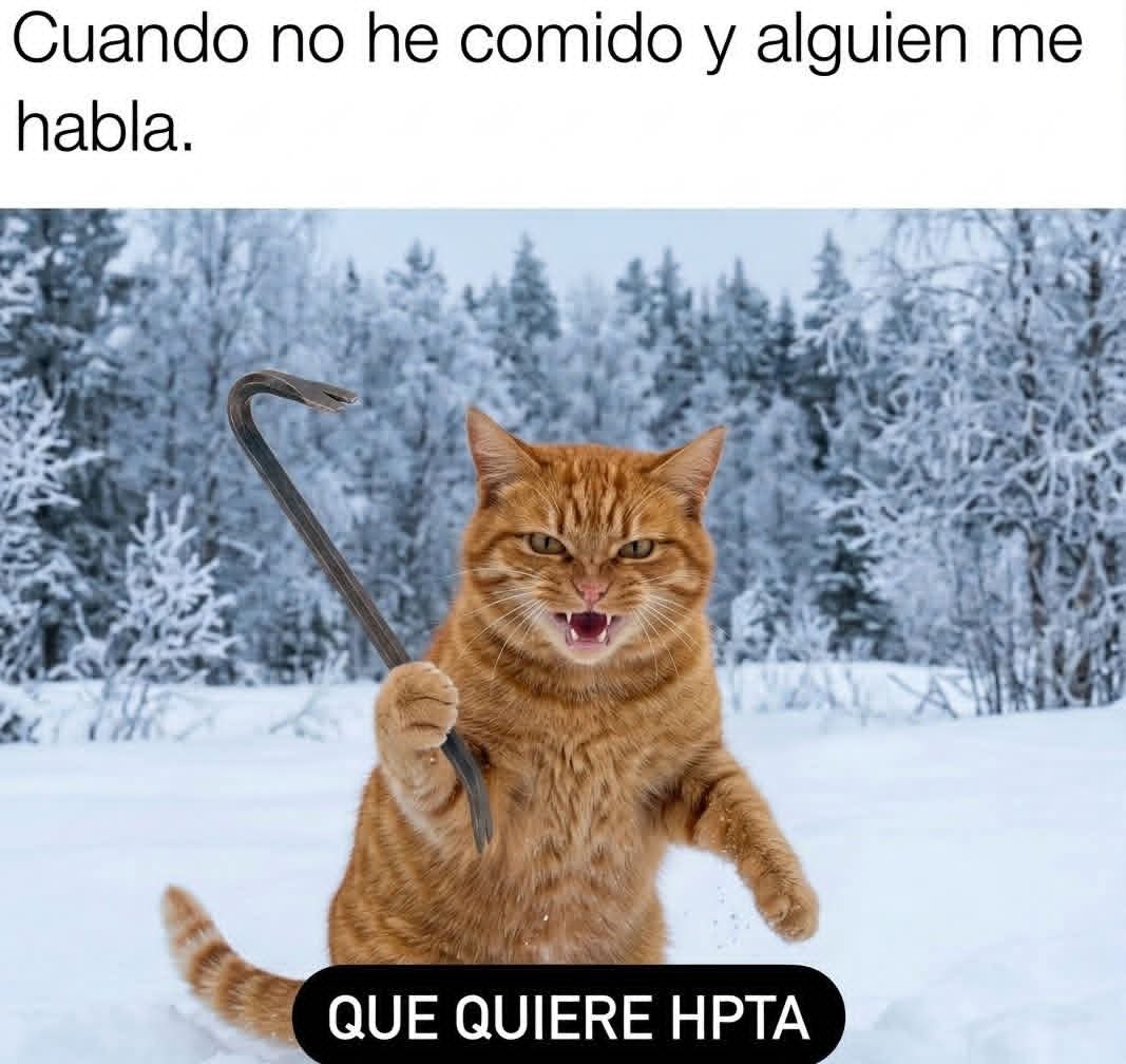 Cuando no he comido y alguien me habla.
QUE QUIERE HPTA