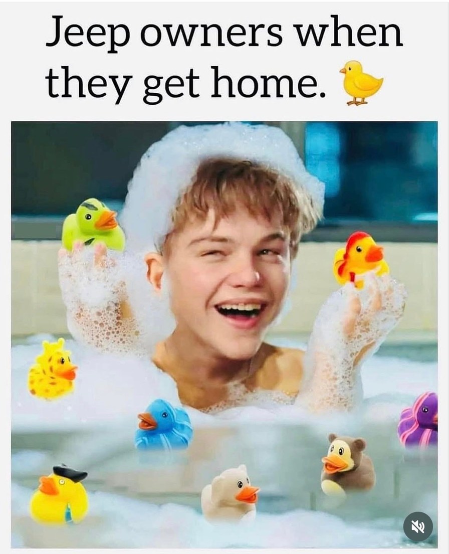 Jeep owners when they get home. 🐥