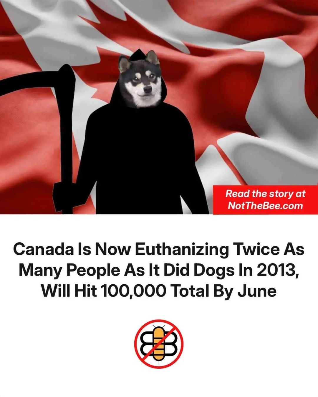 Canada Is Now Euthanizing Twice As Many People As It Did Dogs In 2013, Will Hit 100,000 Total By June