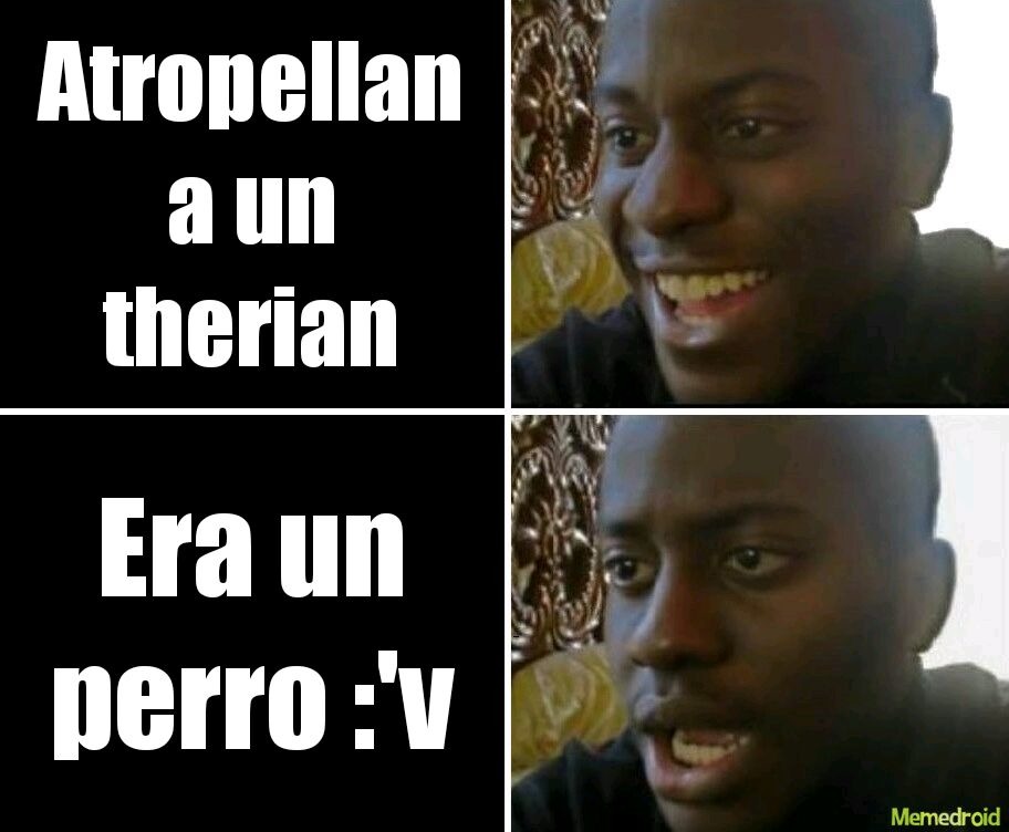 Atropellan a un therian
Era un
perro :´v
