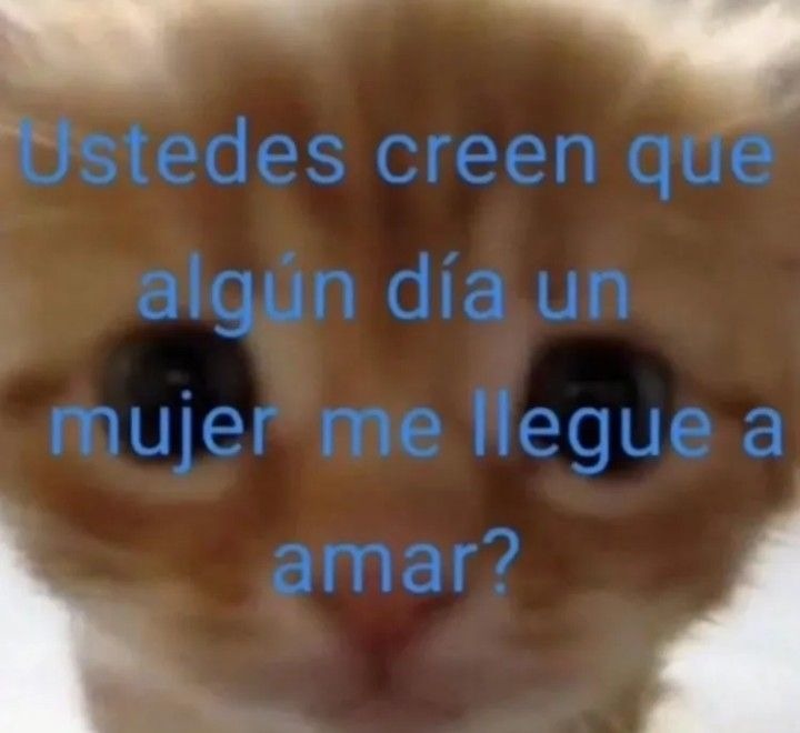 Ustedes creen que algún día una mujer me llegue a amar?