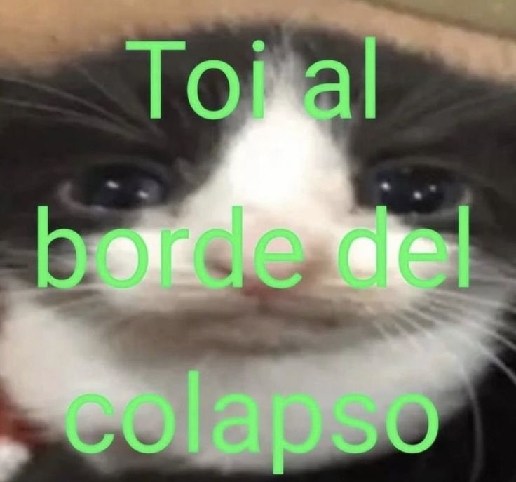 Toi al borde del colapso