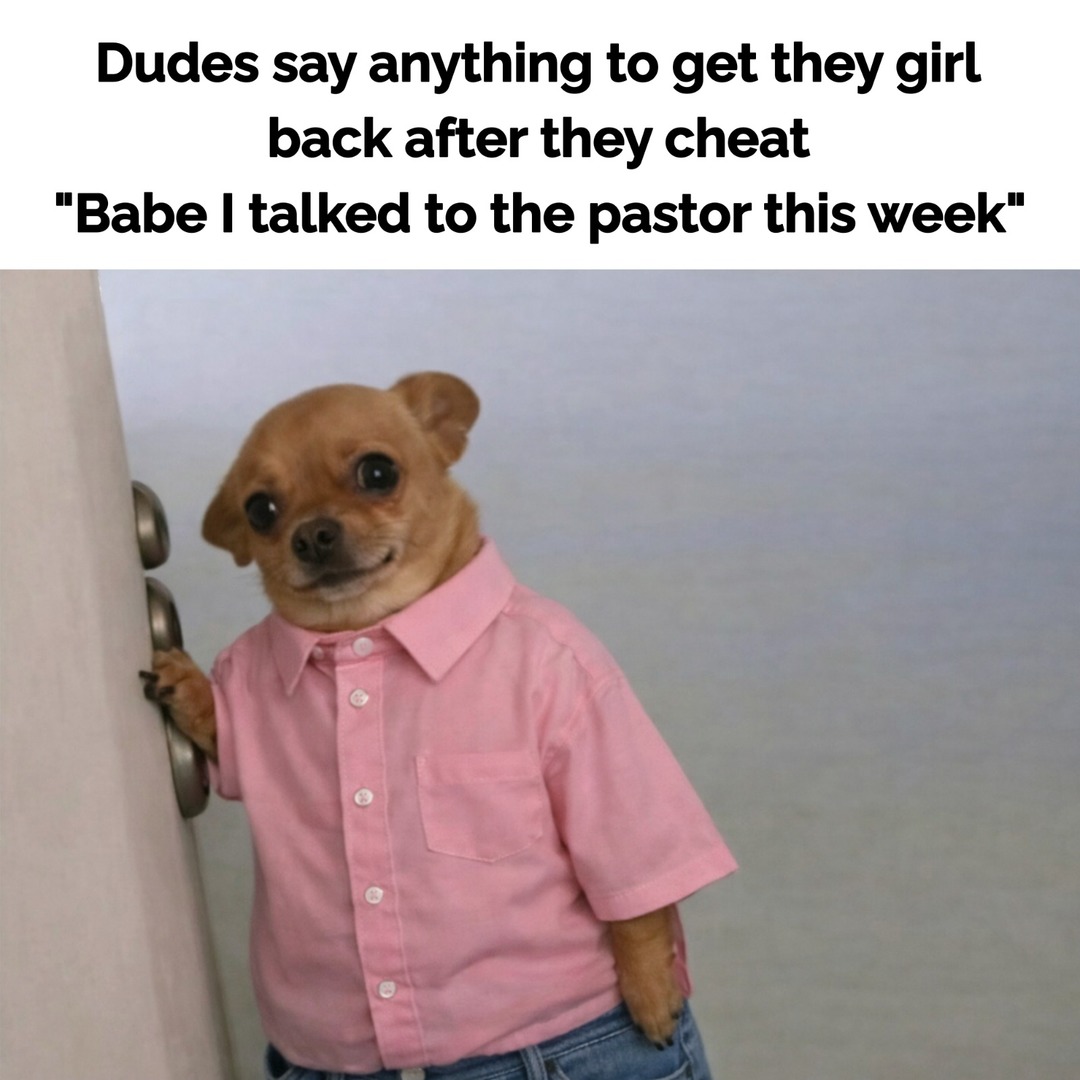 Dudes say anything to get they girl back after they cheat 