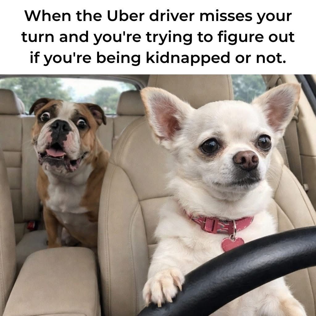 When the Uber driver misses your turn and you're trying to figure out if you're being kidnapped or not.