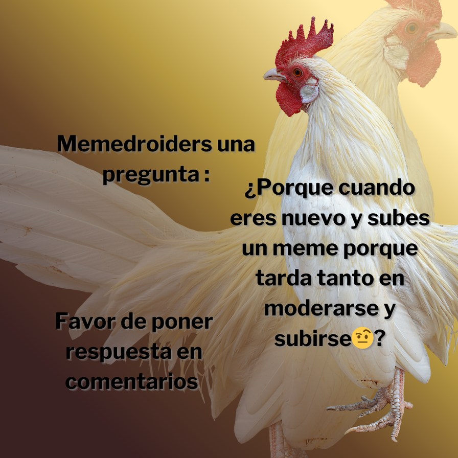 Memedroiders una pregunta: ¿Porque cuando eres nuevo y subes un meme porque tarda tanto en moderarse y subirse? Favor de poner respuesta en comentarios