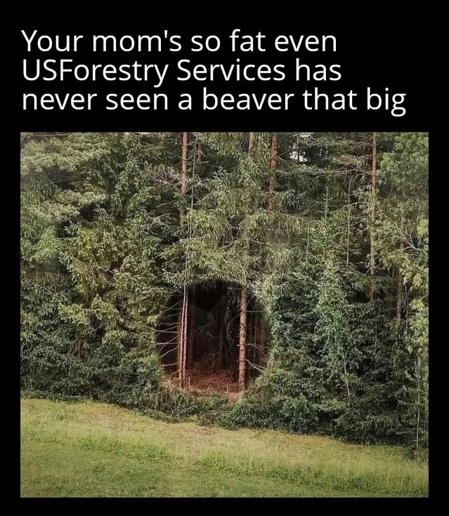 Your mom's so fat even USForestry Services has never seen a beaver that big