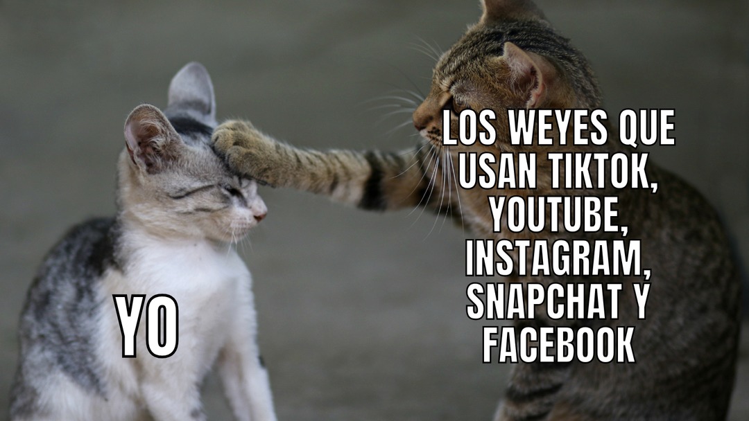 YO
LOS WEYES QUE USAN TIKTOK, YOUTUBE, INSTAGRAM, SNAPCHAT Y FACEBOOK