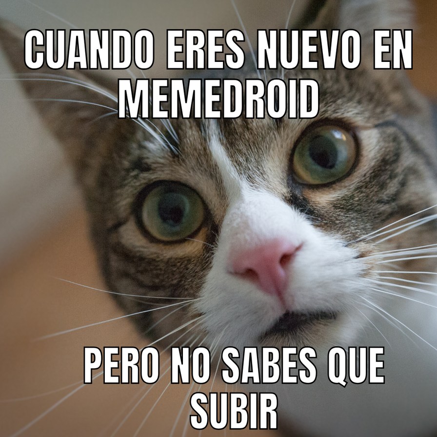 CUANDO ERES NUEVO EN MEMEDROID PERO NO SABES QUE SUBIR