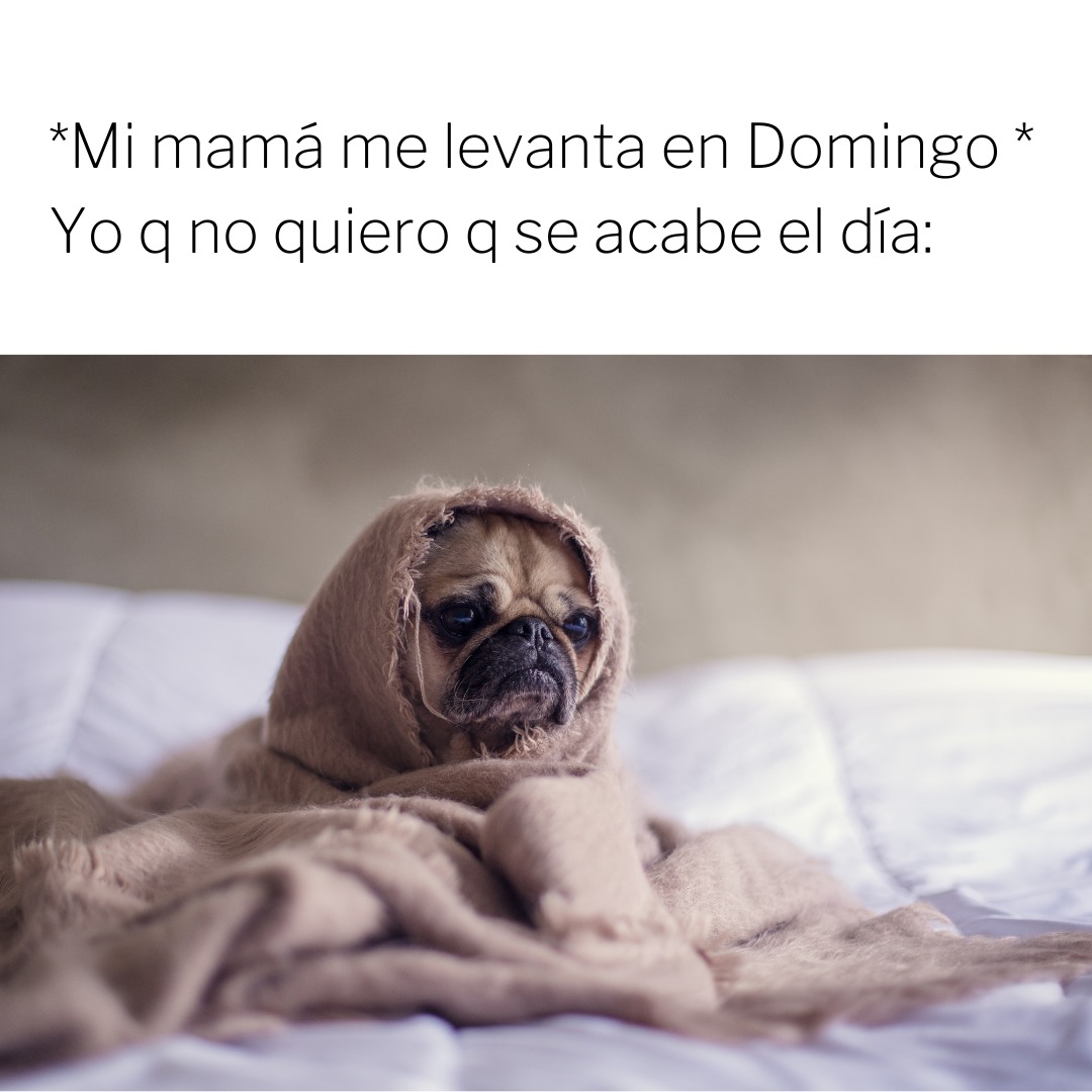 *Mi mamá me levanta en Domingo *
Yo q no quiero q se acabe el día: