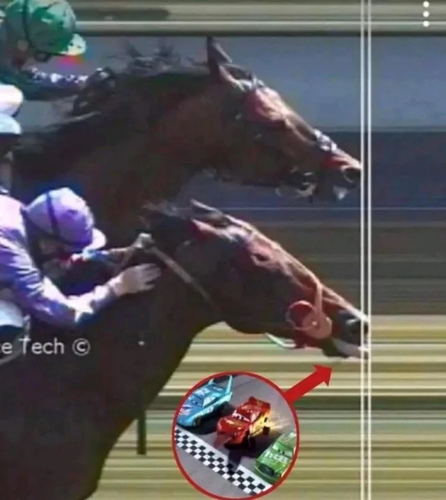 La carrera de caballos se ve como una carrera de coches de juguete.