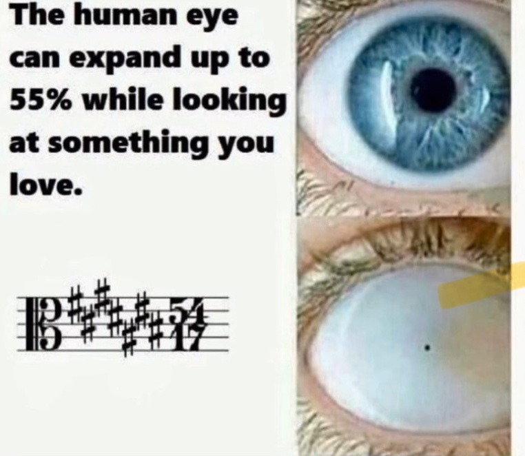 The human eye can expand up to 55% while looking at something you love.