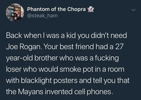 Back when I was a kid you didn't need Joe Rogan. Your best friend had a 27 year-old brother who was a fucking loser who would smoke pot in a room with blacklight posters and tell you that the Mayans invented cell phones.