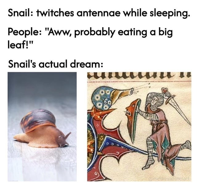 Snail: twitches antennae while sleeping.
People: 