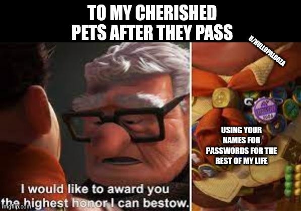 TO MY CHERISHED PETS AFTER THEY PASS
I would like to award you the highest honor I can bestow.
USING YOUR NAMES FOR PASSWORDS FOR THE REST OF MY LIFE