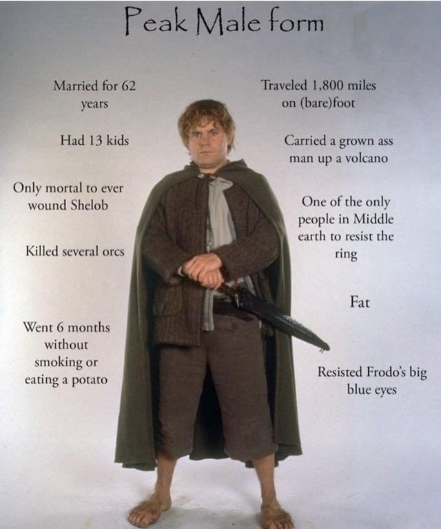 Peak Male form
Married for 62 years
Had 13 kids
Only mortal to ever wound Shelob
Killed several orcs
Went 6 months without smoking or eating a potato
Traveled 1,800 miles on (bare)foot
Carried a grown ass man up a volcano
One of the only people in Middle earth to resist the ring
Fat
Resisted Frodo's big blue eyes
