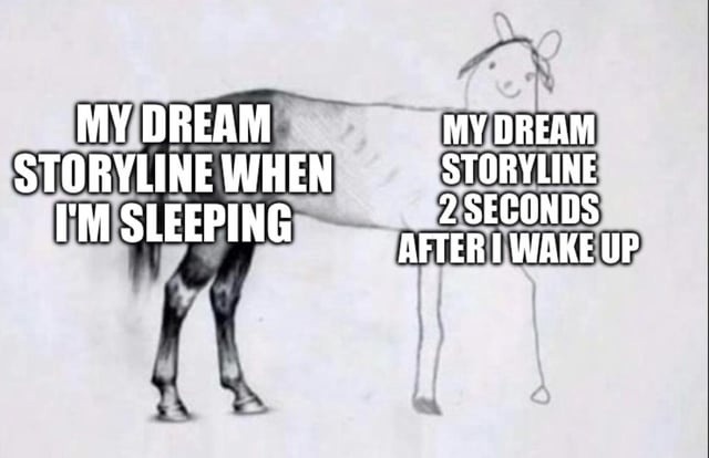 MY DREAM STORYLINE WHEN I'M SLEEPING MY DREAM STORYLINE 2 SECONDS AFTER I WAKE UP