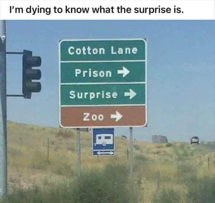 I'm dying to know what the surprise is.