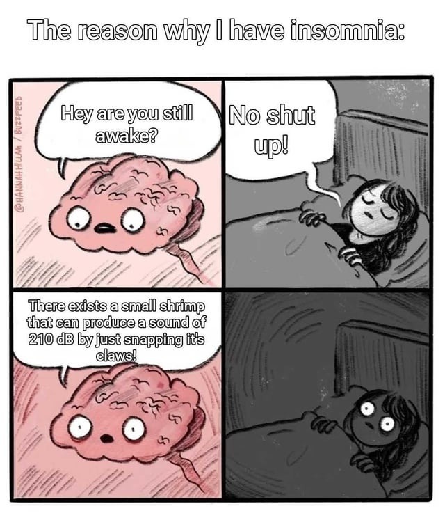 The reason why I have insomnia: Hey are you still awake? No shut up! There exists a small shrimp that can produce a sound of 210 dB by just snapping it's claws!