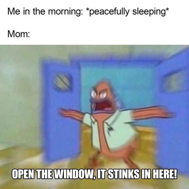 Me in the morning: *peacefully sleeping*
Mom:
OPEN THE WINDOW, IT STINKS IN HERE!