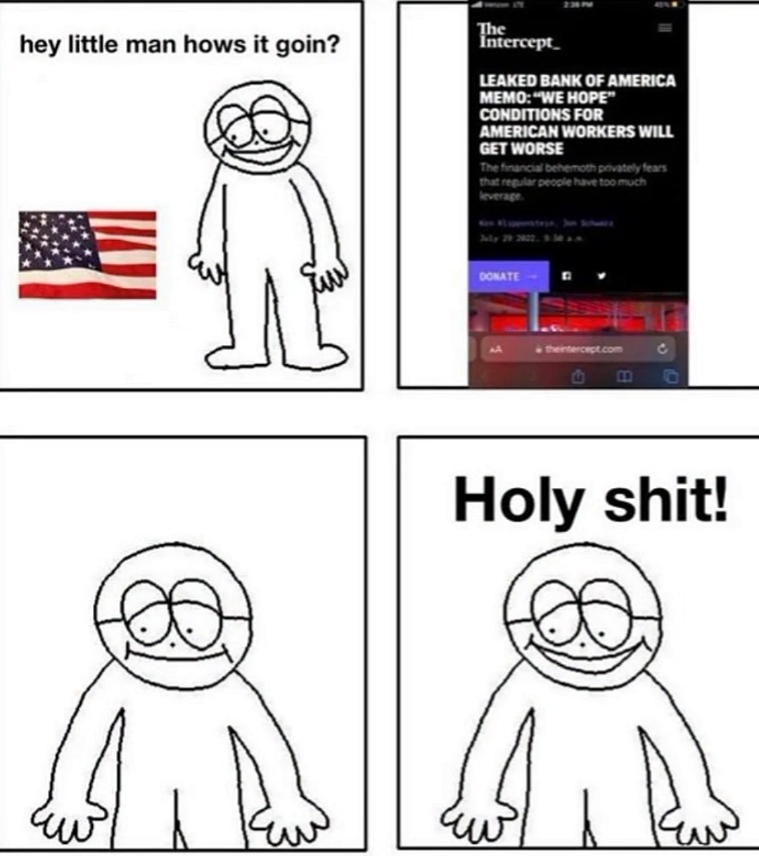 hey little man hows it goin?
LEAKED BANK OF AMERICA MEMO: 