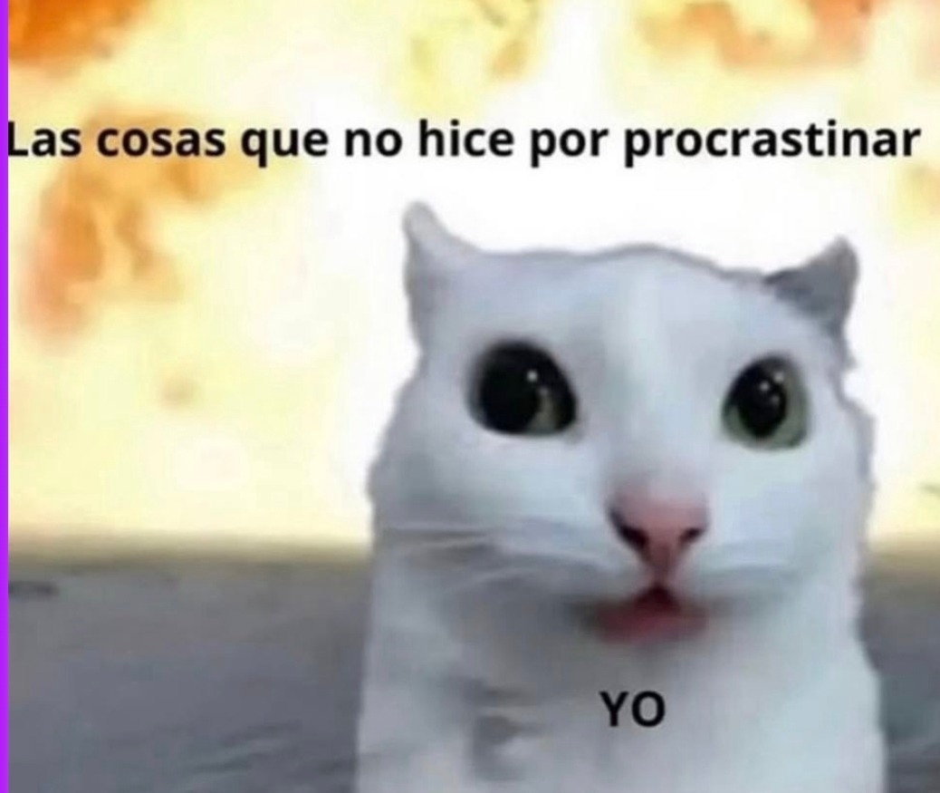 Las cosas que no hice por procrastinar
YO