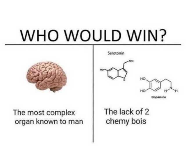WHO WOULD WIN?
The most complex organ known to man
Serotonin
Dopamine
The lack of 2 chemy bois