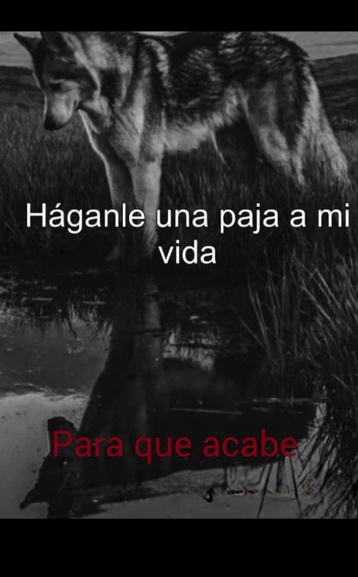 Háganle una paja a mi vida
Para que acabe