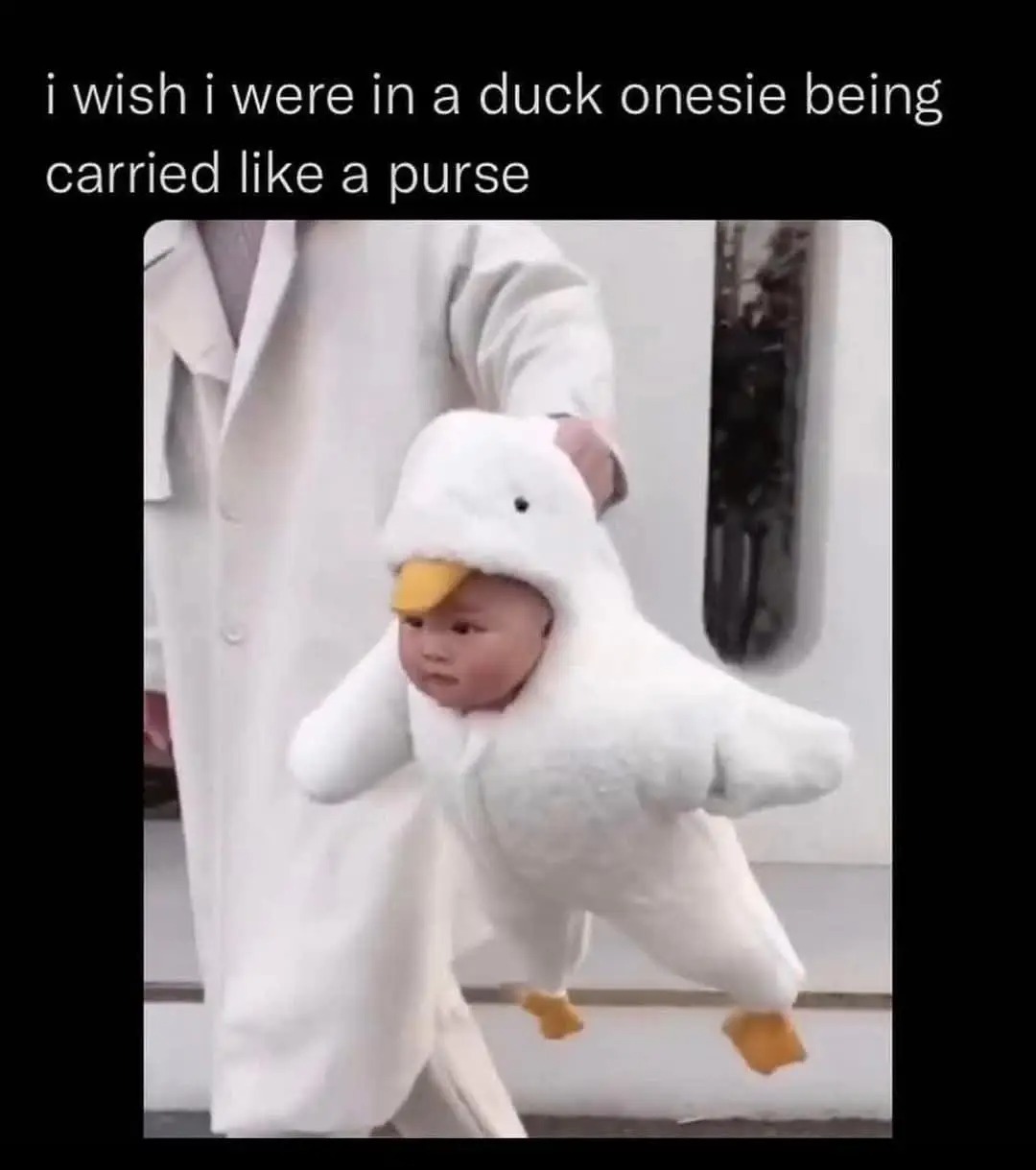 i wish i were in a duck onesie being carried like a purse