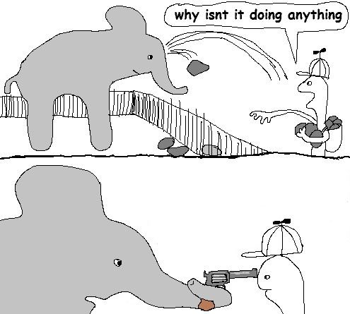 why isnt it doing anything