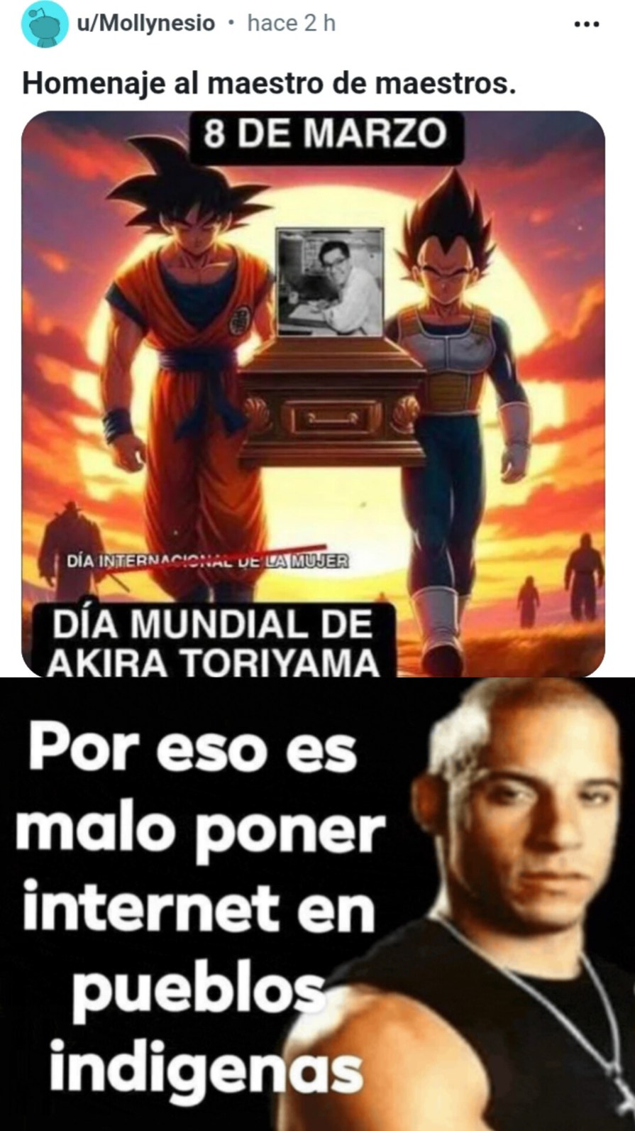 Homenaje al maestro de maestros. 8 DE MARZO DÍA INTERNACIONAL DE LA MUJER DÍA MUNDIAL DE AKIRA TORIYAMA Por eso es malo poner internet en pueblos indígenas