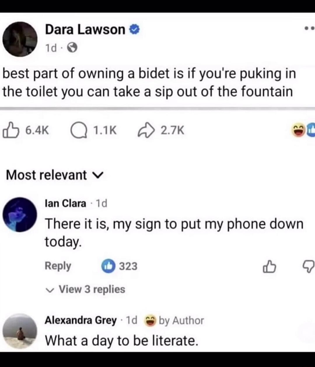 best part of owning a bidet is if you're puking in the toilet you can take a sip out of the fountain