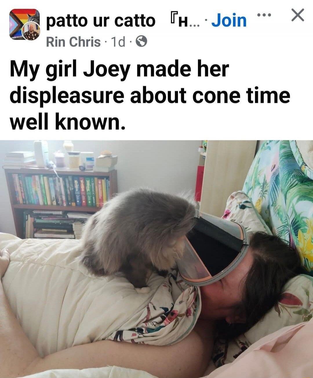 My girl Joey made her displeasure about cone time well known.