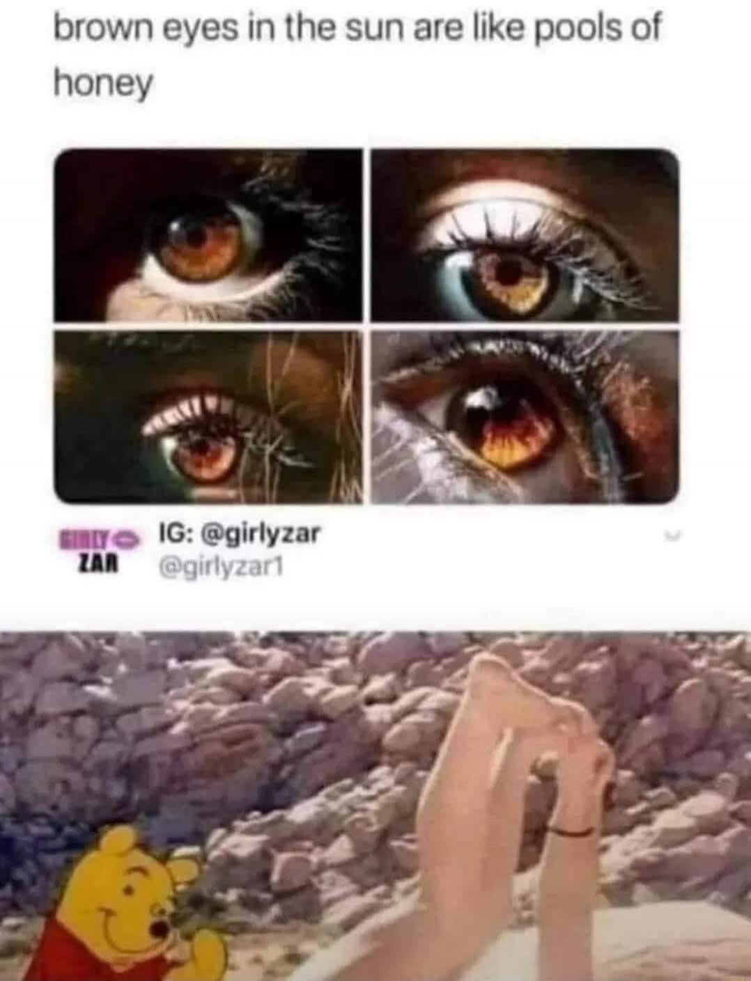 brown eyes in the sun are like pools of honey