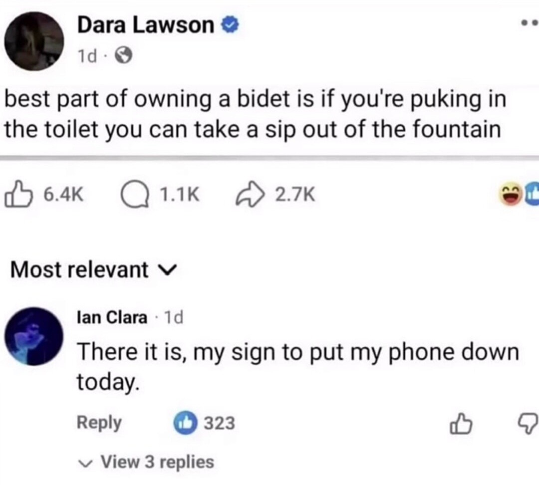 best part of owning a bidet is if you're puking in the toilet you can take a sip out of the fountain