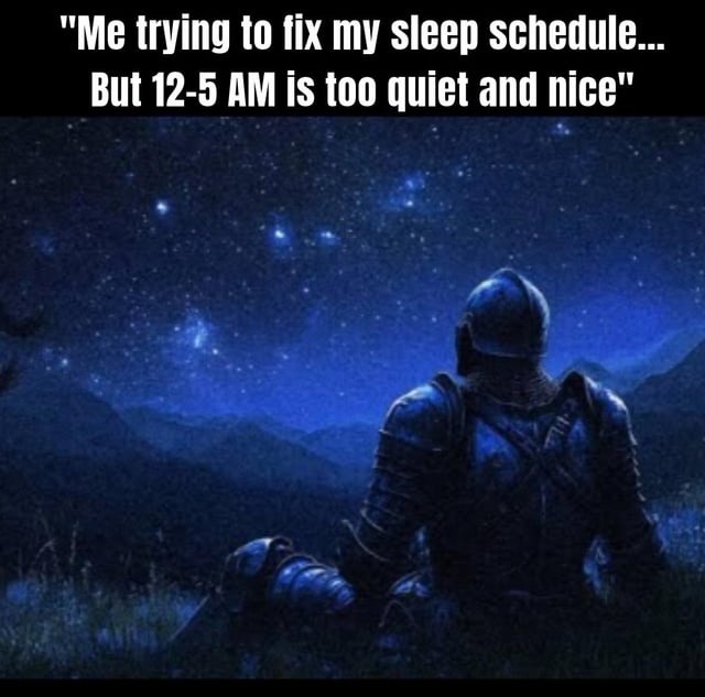 Me trying to fix my sleep schedule... But 12-5 AM is too quiet and nice