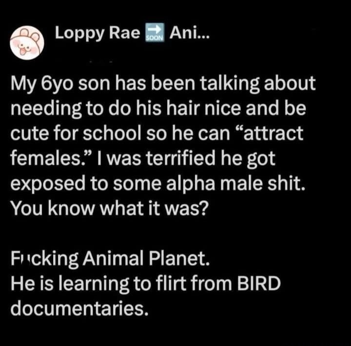 My 6yo son has been talking about needing to do his hair nice and be cute for school so he can 