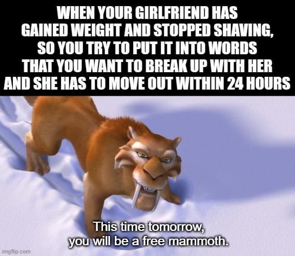 WHEN YOUR GIRLFRIEND HAS GAINED WEIGHT AND STOPPED SHAVING, SO YOU TRY TO PUT IT INTO WORDS THAT YOU WANT TO BREAK UP WITH HER AND SHE HAS TO MOVE OUT WITHIN 24 HOURS
This time tomorrow, you will be a free mammoth.