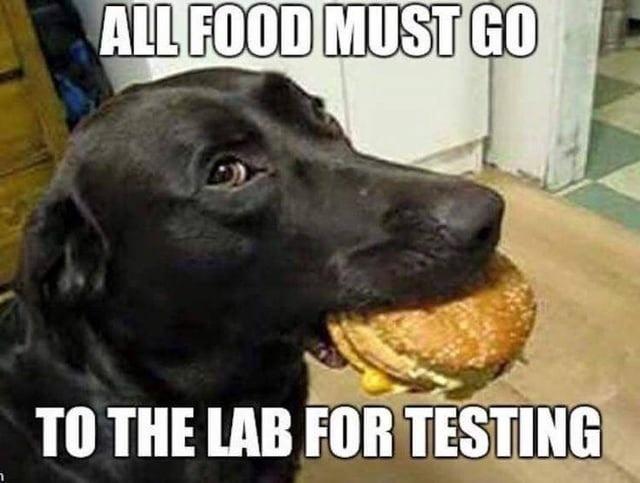 ALL FOOD MUST GO TO THE LAB FOR TESTING
