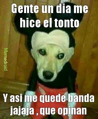 Gente un dia me hice el tonto Y asi me quede banda jajaja, que opinan