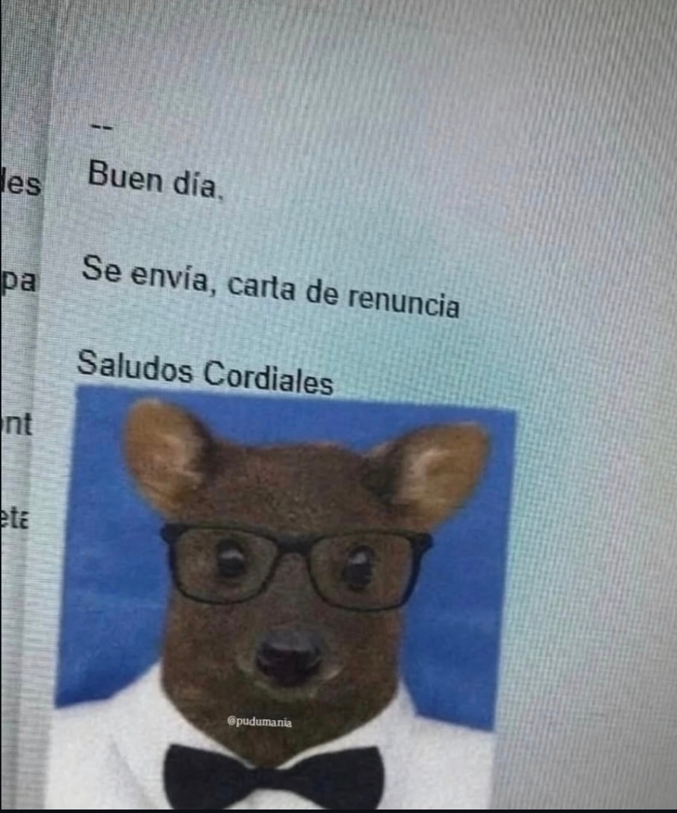 --
Buen día.
Se envía, carta de renuncia
Saludos Cordiales