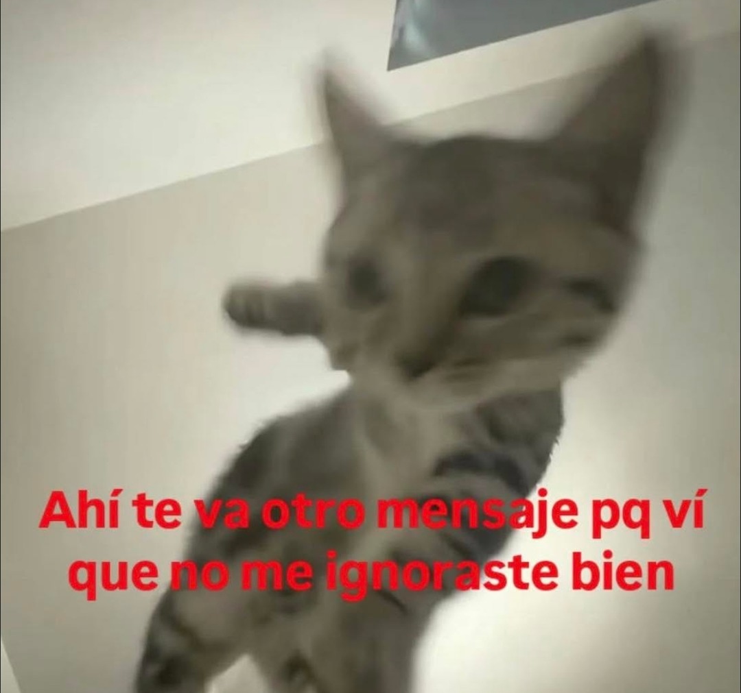 Ahí te va otro mensaje pq vi que no me ignoraste bien