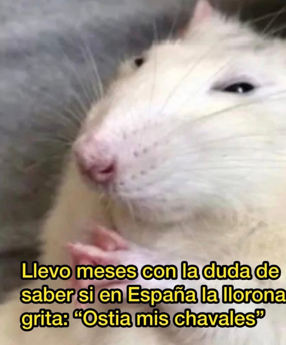 Llevo meses con la duda de saber si en España la llorona grita: “Ostia mis chavales”