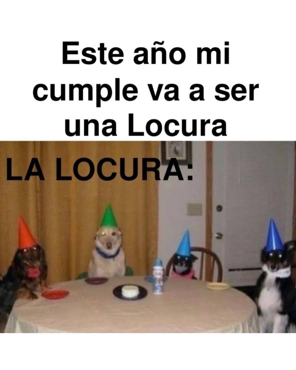 Este año mi cumple va a ser una Locura
LA LOCURA: