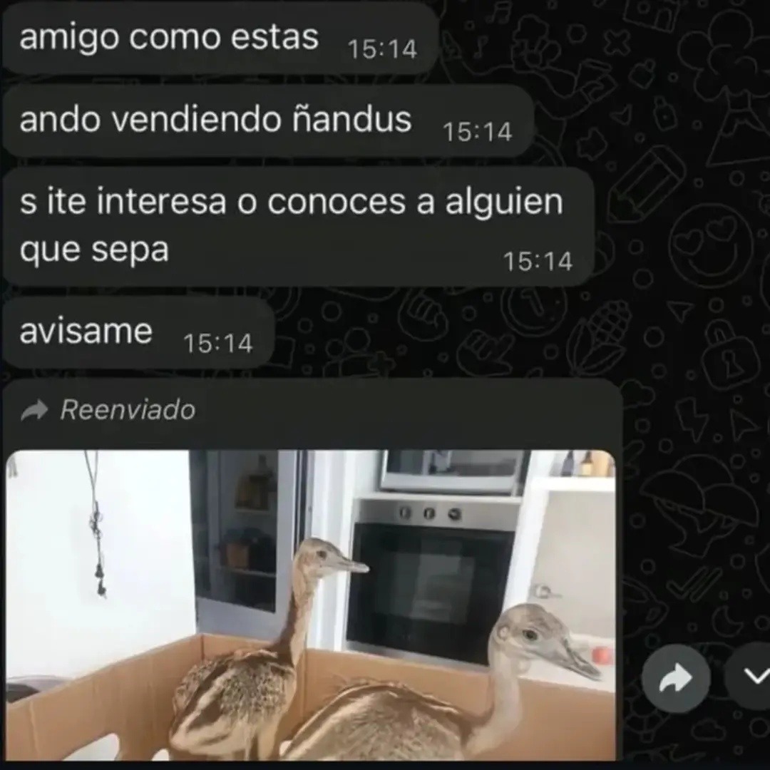amigo como estas
ando vendiendo ñandus
s ite interesa o conoces a alguien que sepa
avisame
Reenviado