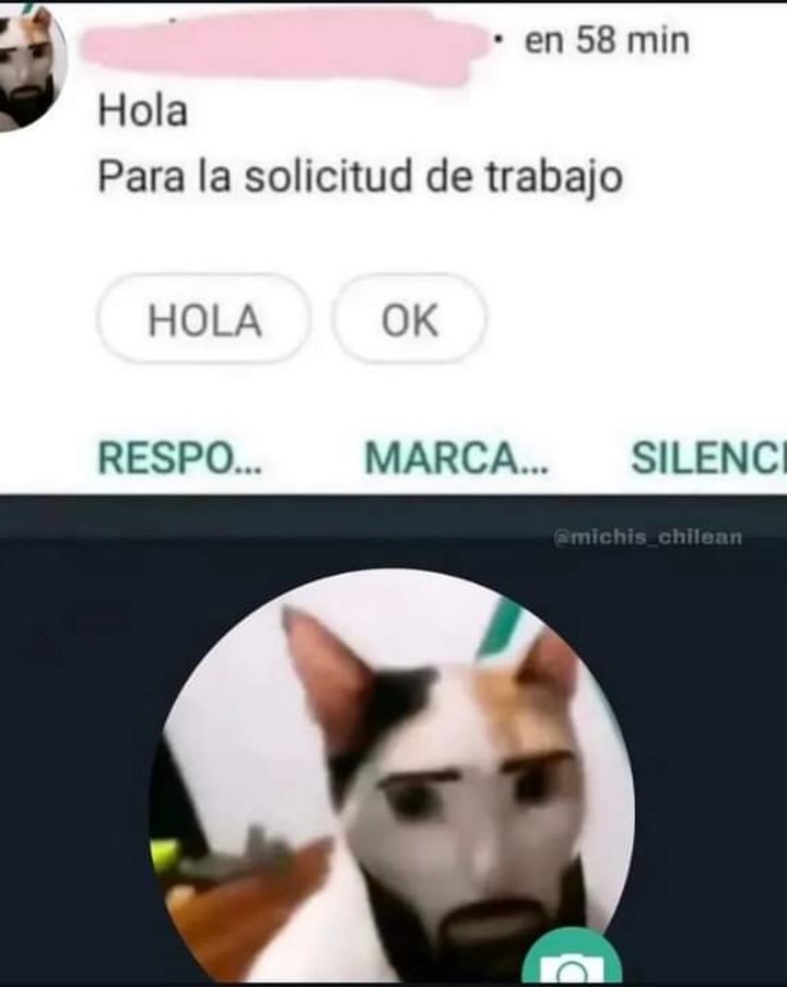 Hola
Para la solicitud de trabajo
HOLA OK
RESPO... MARCA... SILENCE