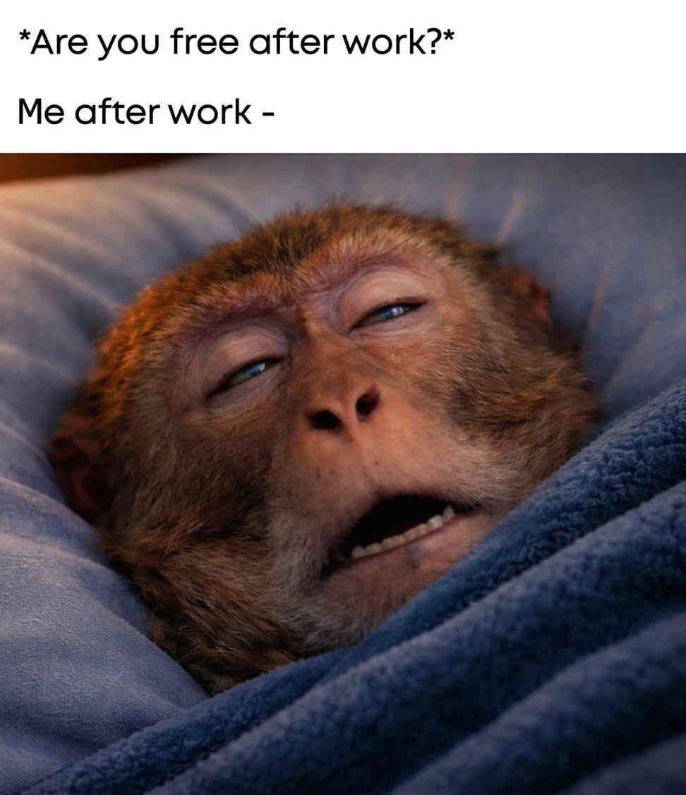 Are you free after work?
Me after work -