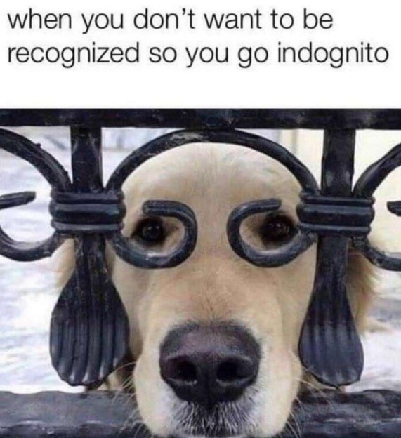 when you don't want to be recognized so you go indognito